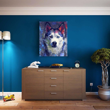 Spojrzenie kolorowych oczu 65x50cm Malowanie Po Numerach