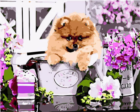 Szpic Obraz Do Malowania Po Numerach