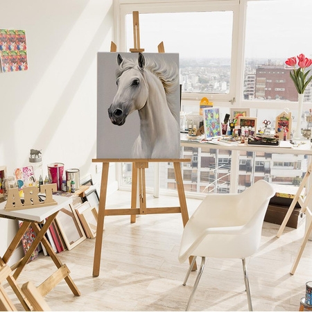 Biały koń Obraz Do Malowania Po Numerach