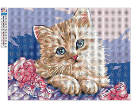 Mozaika Diamentowa 5D Bez Ramy Niebieskooki Kotek 30x40 Haft Diamentowy