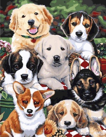 Szczeniak Malowanie po numerach