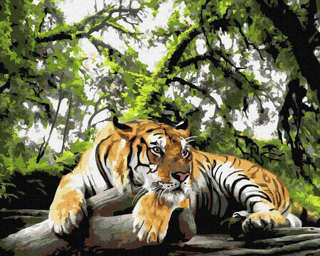 Król lew Malowanie po numerach 40x50 cm