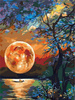 Mozaika Diamentowa 5D Bez Ramy Księżyc Nad Jeziorem 30x40 Haft Diamentowy