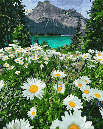 Górski rumiankowy krajobraz Malowanie po numerach