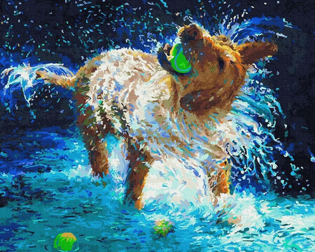 Rozbryzg radości Malowanie po numerach