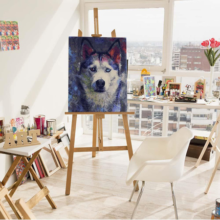 Spojrzenie kolorowych oczu 40x50 Malowanie po numerach