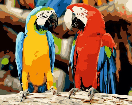 Dwie Papugi Malowanie Po Numerach