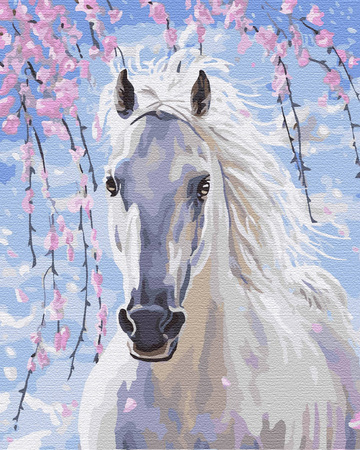 Bielszy Niż Śnieg Malowanie Po Numerach