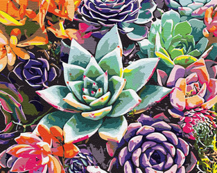 Duże Kwiaty Obraz Do Malowania Po Numerach