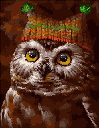 Sowa w czapce Malowanie po numerach