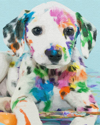 Dalmatyńczyk w farbie Obraz Do Malowania Po Numerach