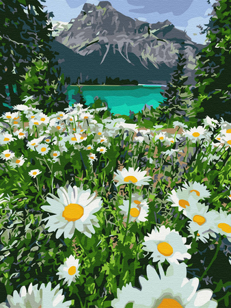 Mozaika Diamentowa 5D Bez Ramy Kwiaty Górskie Rumiankowy Krajobraz 30x40 Haft Diamentowy