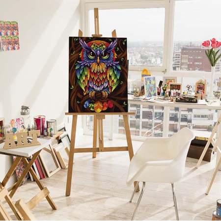 Tęczowa sowa Malowanie Po Numerach