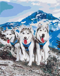 Husky przyjaciele Obraz Do Malowania Po Numerach