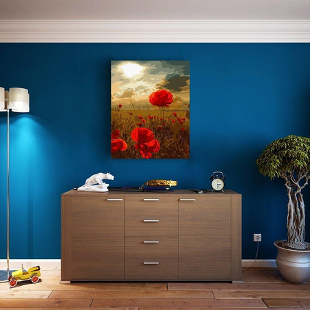 Maki Obraz Po Numerach Bez Ramy